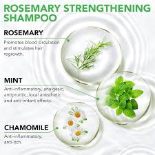 Mint RosemerryStrengthening Shampoo (100ml)